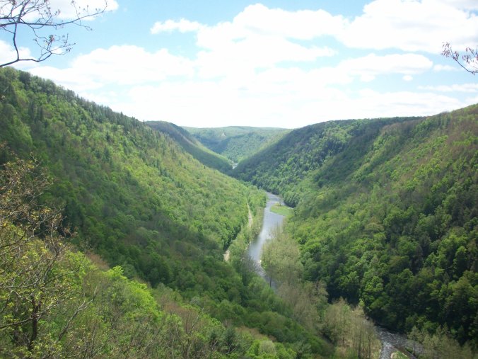 Went to the Pennsylvania Grand Canyon with one of my girlfriends memorial day weekend! :) So Beautiful!