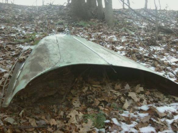 1520772_10152133810520610_400098364_n