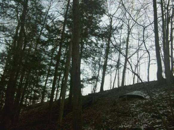 1526651_10152133864400610_841668839_n