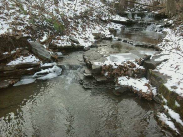 1533876_10152133824645610_873393832_n