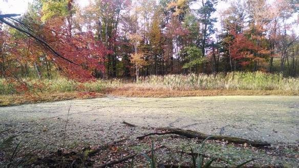 10721290_10202176530009447_1936874047_n