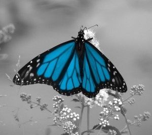 Source: desktopnexus.com