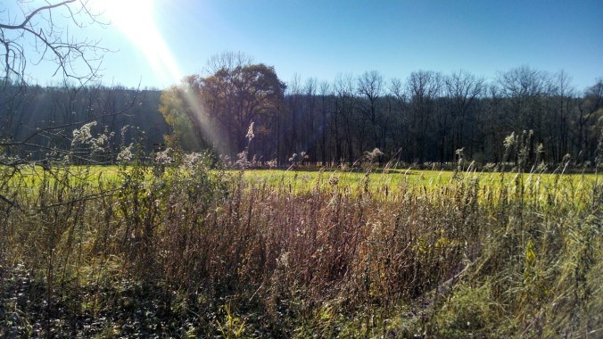 wp-1429141260673 image