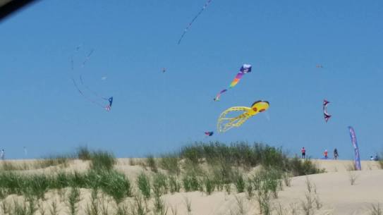 13460763_10154174176370610_1774136575_o