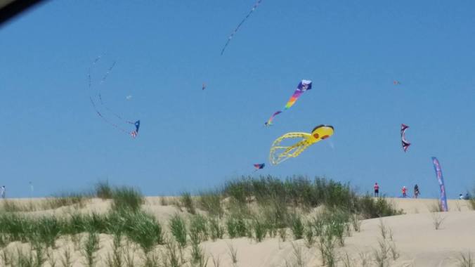 13460763_10154174176370610_1774136575_o